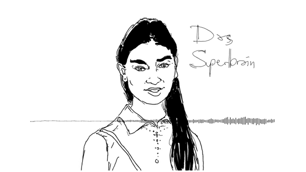 Video-Player Vorschau: Das Superbrain