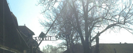   - Link auf: Lernort Auschwitz
