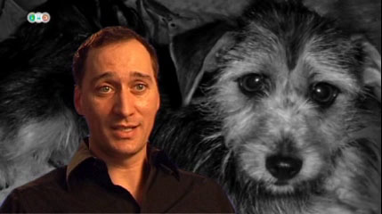 Foto Paul van Dyk